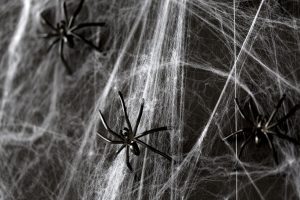 halloween decoration of black toy spiders on web