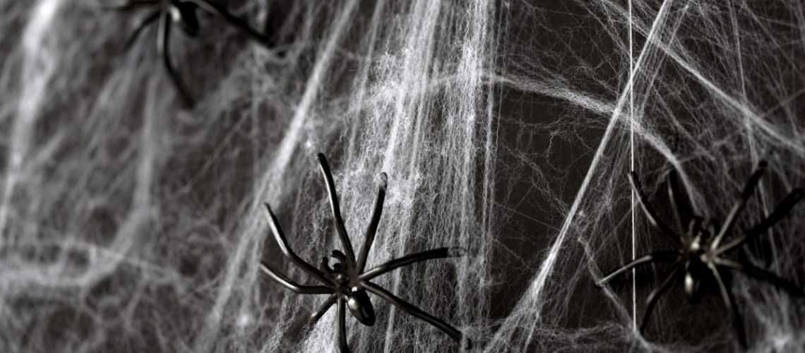 halloween decoration of black toy spiders on web